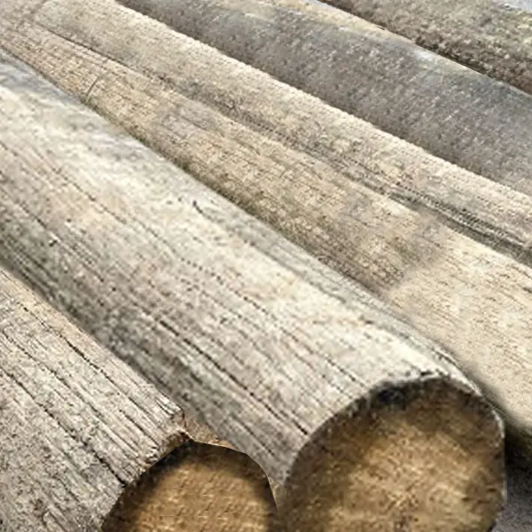 Telegraph Poles