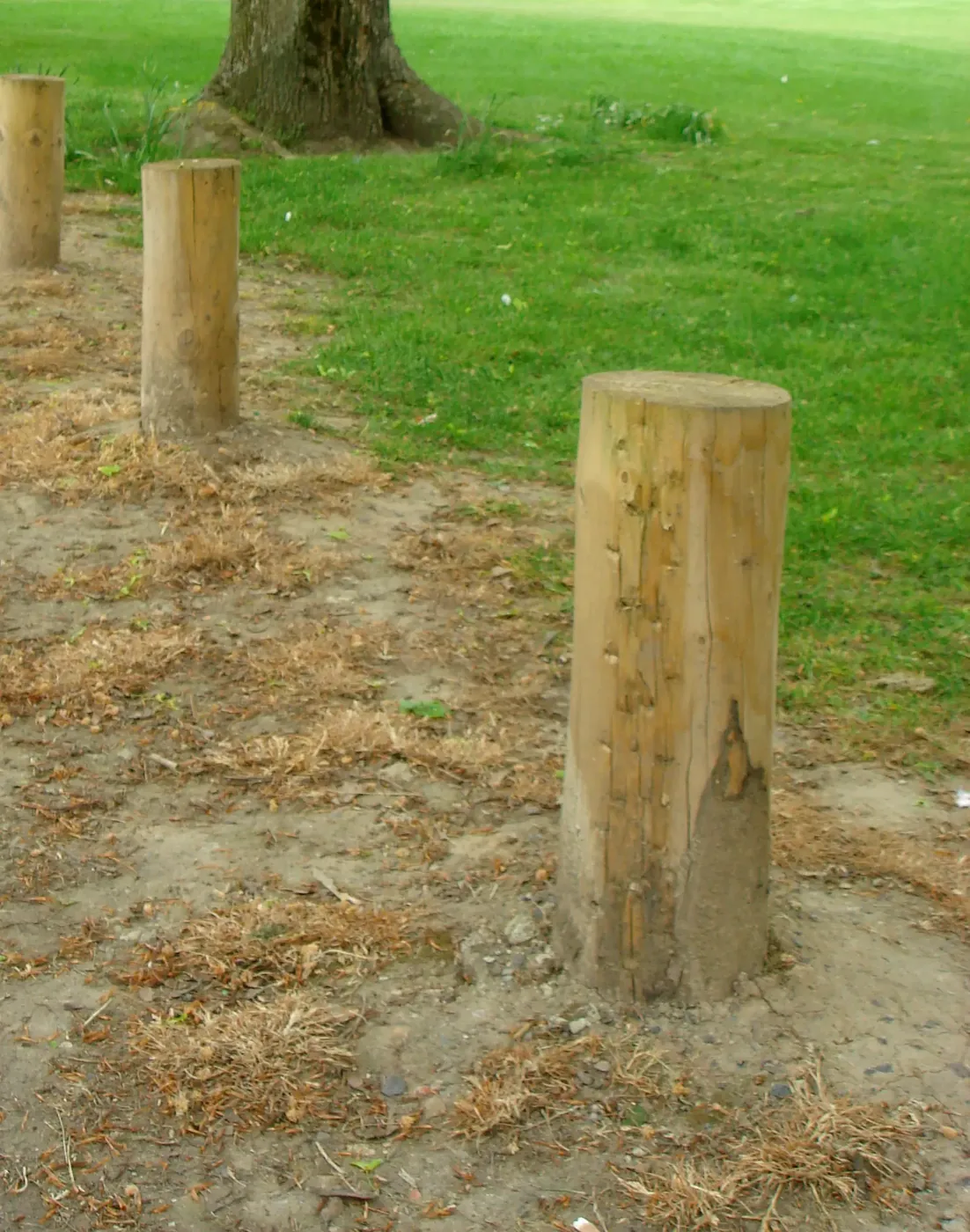 Used telegraph poles in stock at Reeves of Wem, Shropshire