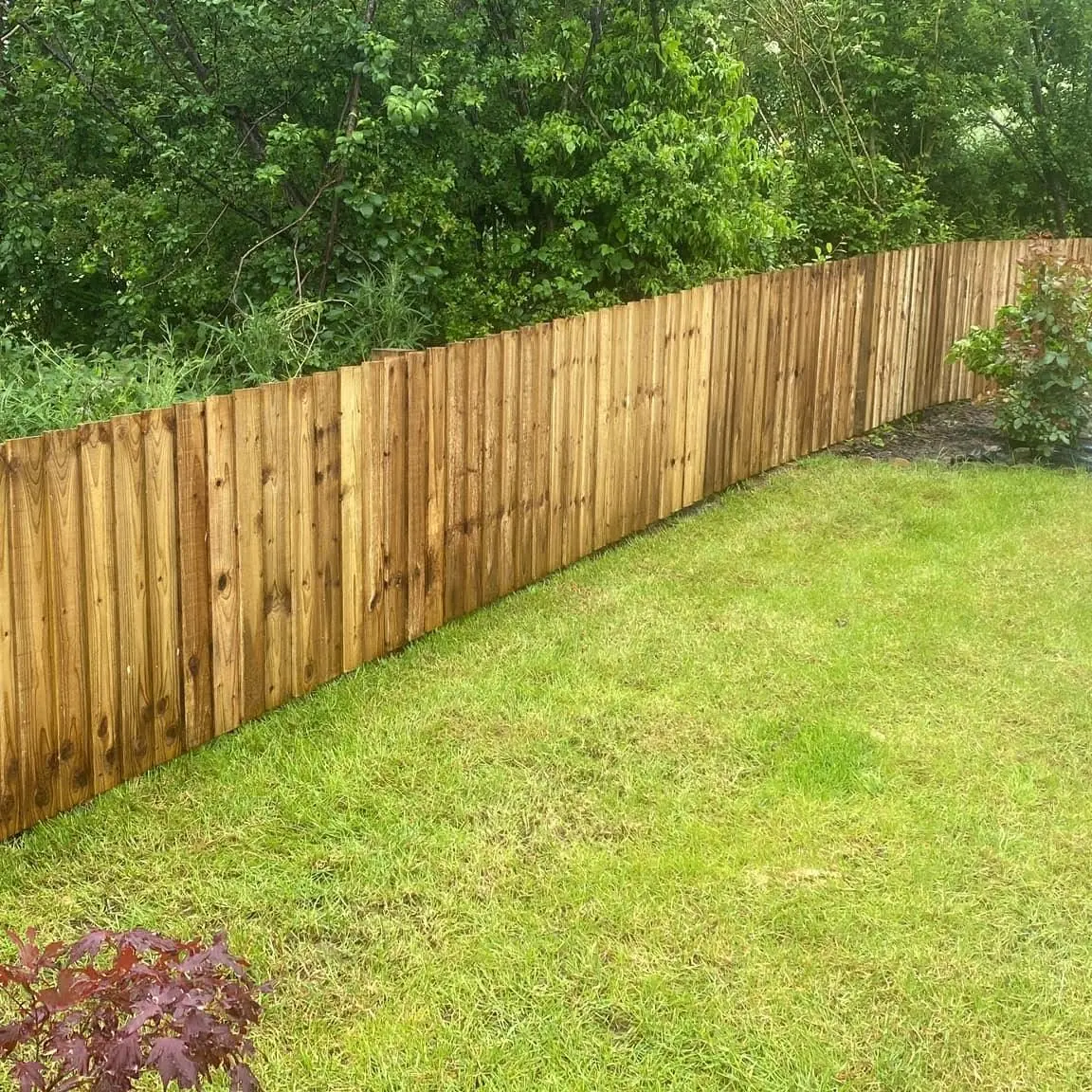Feather edged timber fencing installed in a garden – Reeves of Wem, Shropshire